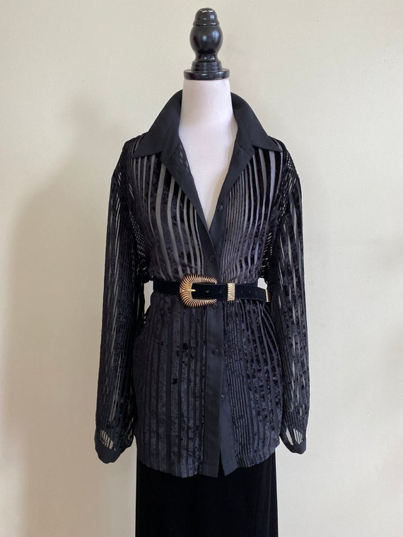 VINTAGE Black Velvet Striped Sheer Long Sleeve Ove