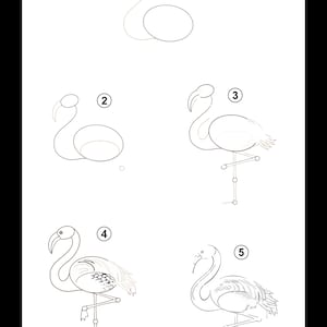 How to Draw Step by Step - Etsy
