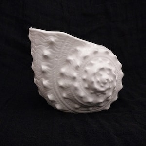 May include: A white ceramic seashell sculpture with a textured surface. The sculpture has a spiral design and is covered in small, rounded bumps. The seashell is a decorative item, perfect for coastal or nautical-themed decor.