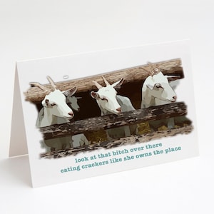 Funny Alpaca Card funny card funny greeting card Funny Birthday Card Thinking of you card Bitch Please I'm Fabulous Card for friend Funny Alpaca Card funny card funny greeting card Funny Birthday Card Thinking of you card Bitch Please I'm Fabulous Card for friend
