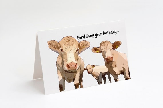 Funny Alpaca Card funny card funny greeting card Funny Birthday Card Thinking of you card Bitch Please I'm Fabulous Card for friend Funny Alpaca Card funny card funny greeting card Funny Birthday Card Thinking of you card Bitch Please I'm Fabulous Card for friend