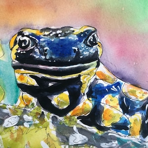 Salamander Watercolor - Original