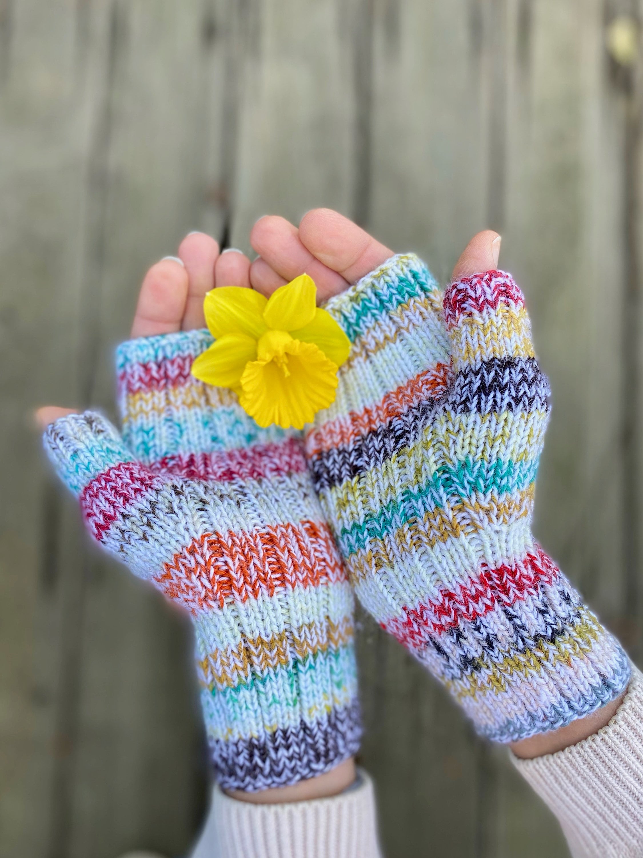 Crochet Pattern  November Mittens