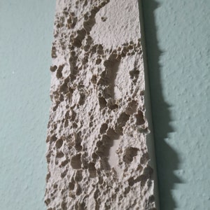 Könnte beinhalten: Nahaufnahme einer weißen, strukturierten Wandplatte mit einer rauen, unebenen Oberfläche. Die Platte hat ein einzigartiges, organisches Muster aus kleinen Löchern und Vertiefungen, das an eine Wabe oder ein Stück Koralle erinnert.