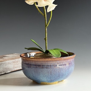 May include: A ceramic planter with a blue and purple glaze holds a plant with green leaves and white flowers. The round planter has a brown rim and a yellow base. A wooden decorative piece is in the background.