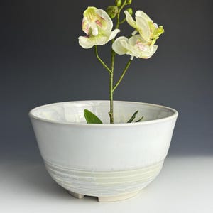 May include: A white ceramic bowl with a light green and white striped design on the lower half. The bowl holds a green plant stem with several white and yellow flowers. The bowl is on a white surface.