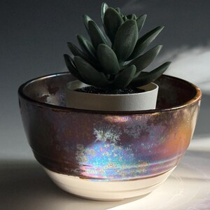 May include: A ceramic bowl with a metallic, iridescent glaze that shifts between deep purple, bronze, and blue tones. The lower portion of the bowl is a solid, matte white. A small, dark green succulent plant in a white plastic pot sits inside.
