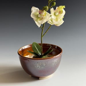 May include: A ceramic bowl with a dark brown exterior and a lighter brown interior holds an artificial orchid plant. The orchid has white and yellow flowers with purple accents. The bowl sits on a white surface.
