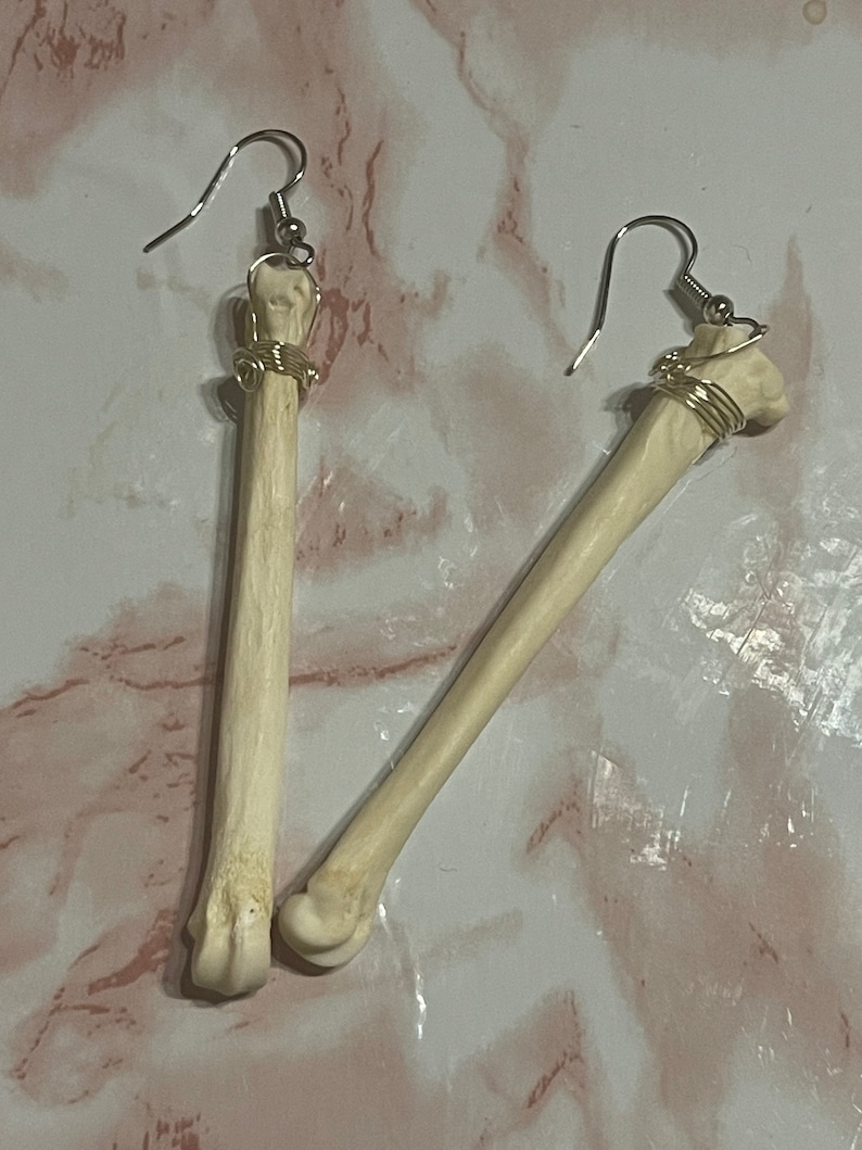 May include: A pair of bone earrings with gold wire wrapped around the top. The earrings are hanging from silver hooks.