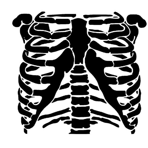 Rib Cage Stencil - Etsy