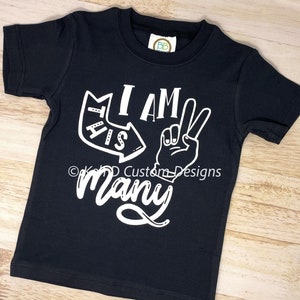 Boy’s 2nd Birthday Shirt, Second Birthday Shirt, Kid Birthday Shirt, 2nd Birthday Shirt, Kid 2nd Birthday Shirt, Boy’s Birthday Shirt