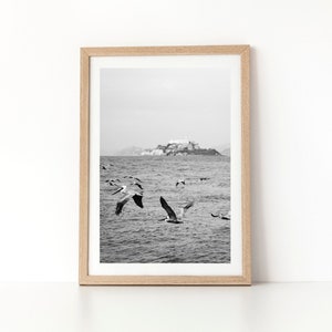 San Francisco photo - Beach Photo - Pelican Photo - Travel Photography - California photo print - Wall art photo - Bay Area - Alcatraz photo