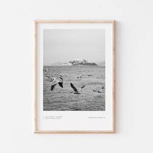 San Francisco Fotoposter - Pelikan Foto - Reisefotografie - Kalifornien Poster - Wandbild Foto - Bay Area - Alcatraz Foto