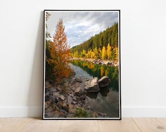 Glacier National Park, Montana Photo print - North Fork Fall - Autumn - Tree print - Wall decor - National Park Print - Nature print