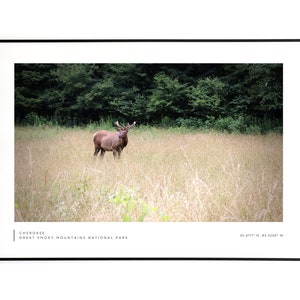 Great Smoky Mountains Poster - National Park Mountain print - North Carolina print - Craggy Gardens - Wall decor -  Nature print