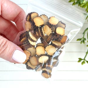 May include: A clear plastic bag filled with small, wooden, tree slice embellishments. The slices have a light brown color with darker brown bark edges. The bag is held in a hand with a silver ring.