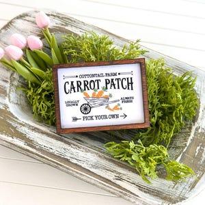 May include: A wooden sign with a white background and brown trim reads "Cottontail Farm Carrot Patch" with a drawing of a wheelbarrow full of carrots. The sign also says "Locally Grown" and "Always Fresh" and "Pick Your Own" with an arrow.