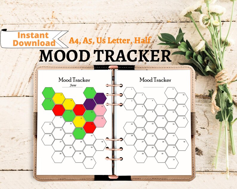 Monthly Mood Journal Mood Tracker Printable Mood Planner Etsy