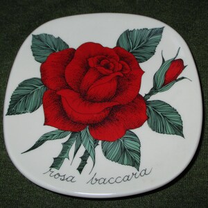Puede incluir: Plato de cerámica blanco con una rosa roja y hojas verdes. El plato tiene las palabras "rosa baccarat" escritas en él.