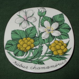 Puede incluir: Un plato de cerámica blanco con un diseño floral verde y amarillo. El plato presenta un dibujo de una planta con flores blancas y bayas amarillas. El texto "ribus chamaemorus" está escrito en el plato.