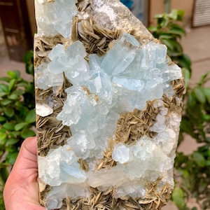 958 Gram terminated bunch of Aquamarine crystals perched upon a mica matrix from Nagar, Pakistan. Aquamarine Crystal Specimen