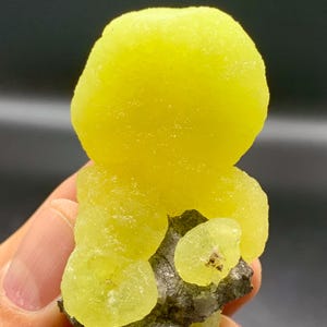 Puede incluir: Un vibrante espécimen mineral amarillo con una superficie texturizada y burbujeante. El mineral está agrupado sobre una matriz gris oscuro, creando un contraste llamativo. La forma general es redondeada y orgánica.