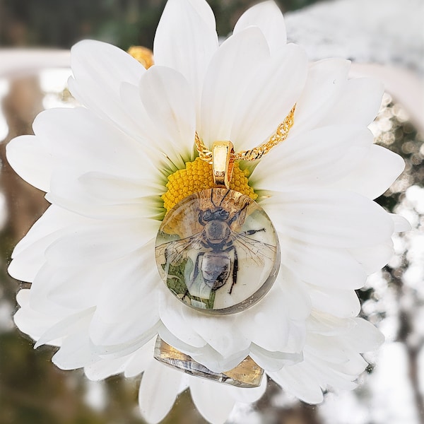 Real Honey Bee Necklace, Bee in Resin, Insect Pendant, Real Bug Taxidermy, Preserved Insect Jewelry, Bee Keeper Gift, Bug lover, For Her