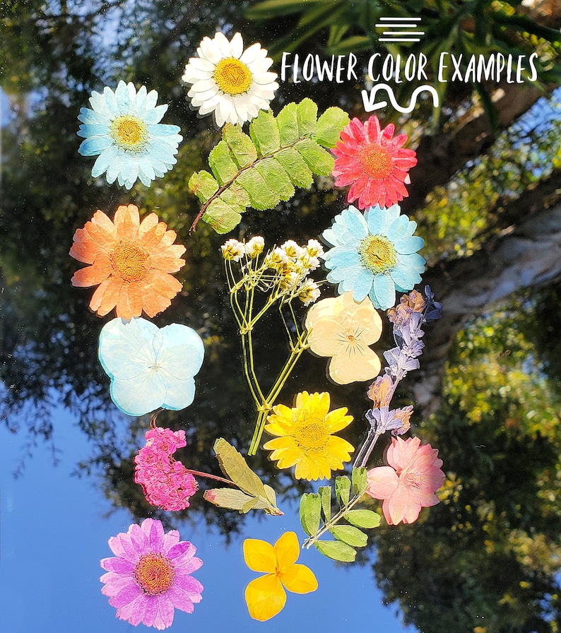 Floral Paint Palette Real Pressed Flowers Resin Flower Etsy