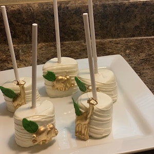 Chocolate Covered Marshmallow