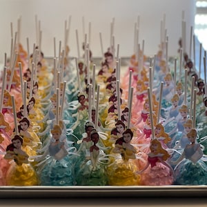 Princess Cake pops (18)
