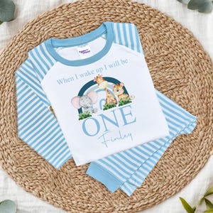 May include: Blue and white striped pajamas with a white long-sleeved shirt featuring a rainbow with animals and the text "When I wake up I will be ONE Finley".