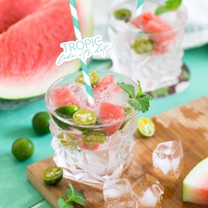 Bachelorette Party | Tropical Party | Straw Toppers | Paper Straws | Tropic Like It&#39;s Hot | Party Straws | Paper Goods | Party Accessories