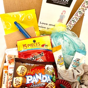 Missionary Gift Box / Sister Missionary / Miss You / Thinking of You / wishingstarcompany