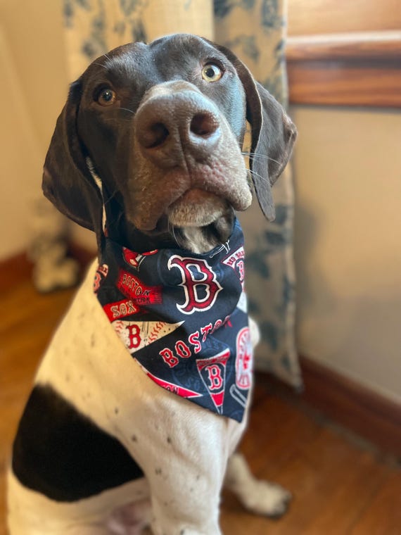 Boston Red Sox- Red Sox Dog Scarf- Personalized- MLB Dog Scarf
