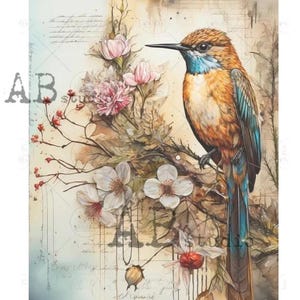 THE HUMMINGBIRD |  A4 Rice Paper | Decoupage Paper | Carte Italiano | 8.27" x 11.7" | Floral | Hummingbird | Watercolor | Elegant