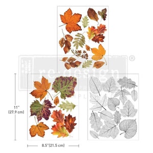 New "CRUNCHY LEAVES FOREVER", 3 sheets - each 8.5x11" , Rub On Transfers For Furniture, Furniture Decals, ReDesign With Prima Transfers,