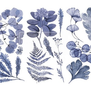 NEW "INDIGO", 3 sheets - 6"x12" , Rub On Transfers For Furniture, Furniture Decals, ReDesign With Prima Transfers,