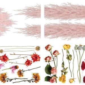 May include: A collection of dried flowers and pampas grass in various colors, including pink, red, yellow, and white. The flowers are arranged in a flat lay on a white background.