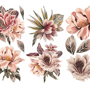 EXOTICA, 3 sheets - 6&quot;x12&quot; , Rub On Transfers For Furniture, Furniture Decals, ReDesign With Prima Transfers,