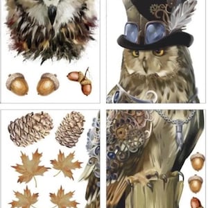 May include: Four digital images featuring a brown and white owl with yellow eyes. The first image shows the owl's head and neck. The second image shows the owl wearing a black top hat with goggles and a feather. The third image shows the owl's wing and tail feathers. The fourth image shows the owl perched on a wooden post. Each image includes various brown acorns and pine cones.