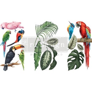 NEW "TROPICAL BIRDS", 3 sheets - 6"x12" , Rub On Transfers For Furniture, Furniture Decals, ReDesign With Prima Transfers,