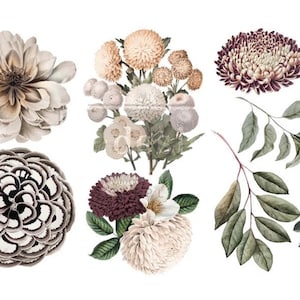 NEW &quot;NATURAL FLORA&quot;, 3 sheets - 6&quot;x12&quot; , Rub On Transfers For Furniture, Furniture Decals, ReDesign With Prima Transfers,