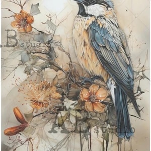 WATERCOLOR BLUE JAY |  A4 Rice Paper | Decoupage Paper | Carte Italiano | 8.27" x 11.7" | Floral | Blue Jay | Watercolor | Elegant