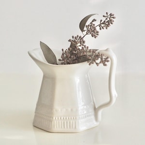 Peut inclure: Une cruche en céramique blanche avec une anse, contenant des tiges florales séchées. La cruche a une forme géométrique avec une bande décorative près de la base. Les fleurs sont d'un violet discret, créant une esthétique douce et neutre.