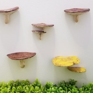 Realistic mushroom magnets