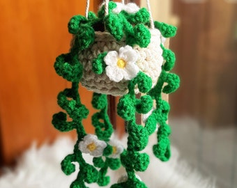 Hanging house plant with macrame plant basket. Gorgeous hanging plant with crochet flowers.  Boho Bohemian wall art plant. Summer crochet.