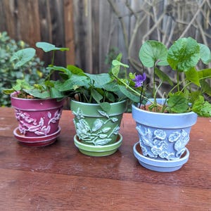 May include: Three small terracotta flower pots in magenta, light green, and light blue, each featuring raised floral relief designs on the exterior. Each pot includes a matching saucer and contains a green plant with small leaves.
