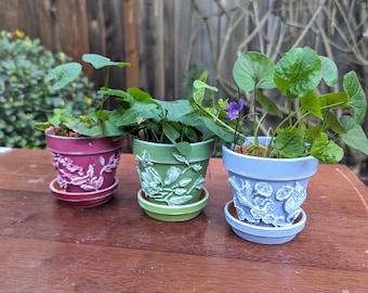 Botanical Relief Planter with Saucer, Hand Painted Terracotta Flower Pot, Small Indoor Planter, Floral Herb Pot, Garden Gift