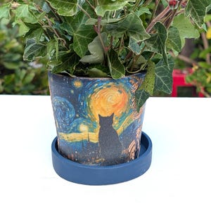 May include: A cylindrical plant pot featuring a printed design of a black cat silhouette against a swirling yellow and blue starry night sky. The pot sits in a solid dark blue circular saucer and contains a green ivy plant with variegated leaves.