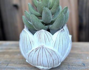 Lotus Cement Planter, Succulent Pot with Drainage, Lotus Flower Brush Holder, Small Concrete Planter, Boho Desk Organizer
